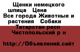 Щенки немецкого шпица › Цена ­ 20 000 - Все города Животные и растения » Собаки   . Татарстан респ.,Чистопольский р-н